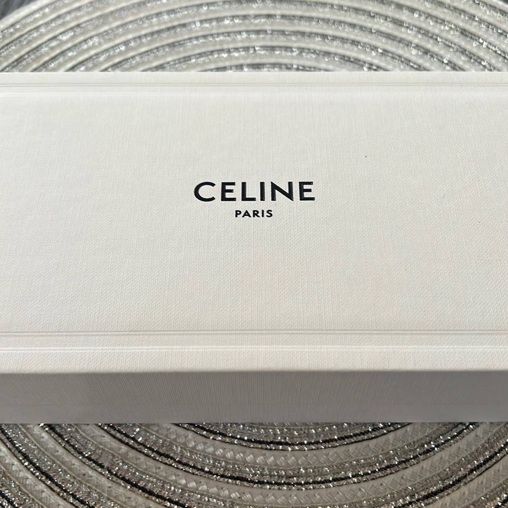 Celine Chunky Rectangle Acetate 🕶️ Sunglasses